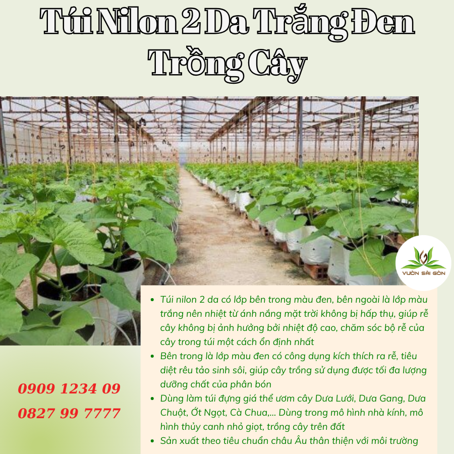 Bịch Nilon trồng cây 2 da trắng – đen - trồng dưa lưới, dâu tây, cà chua