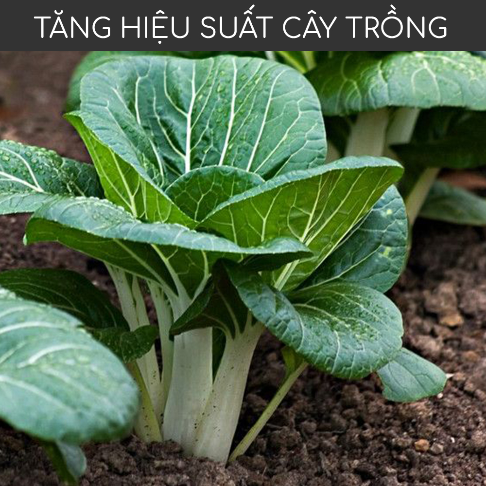 Phân bón hữu cơ sinh học Minro (700g)
