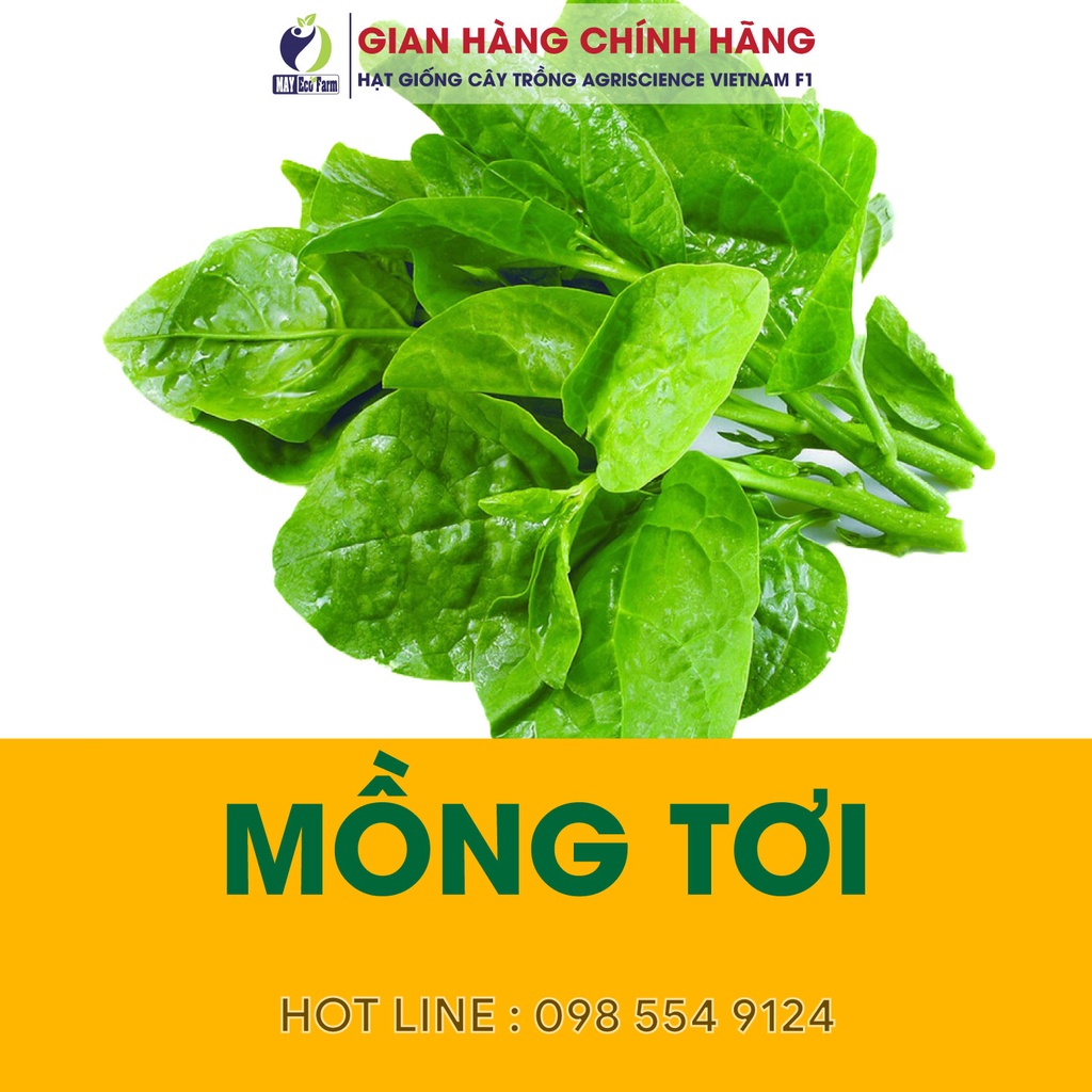 Hạt Giống Mồng Tơi Cao Sản 20gr - h2t farm
