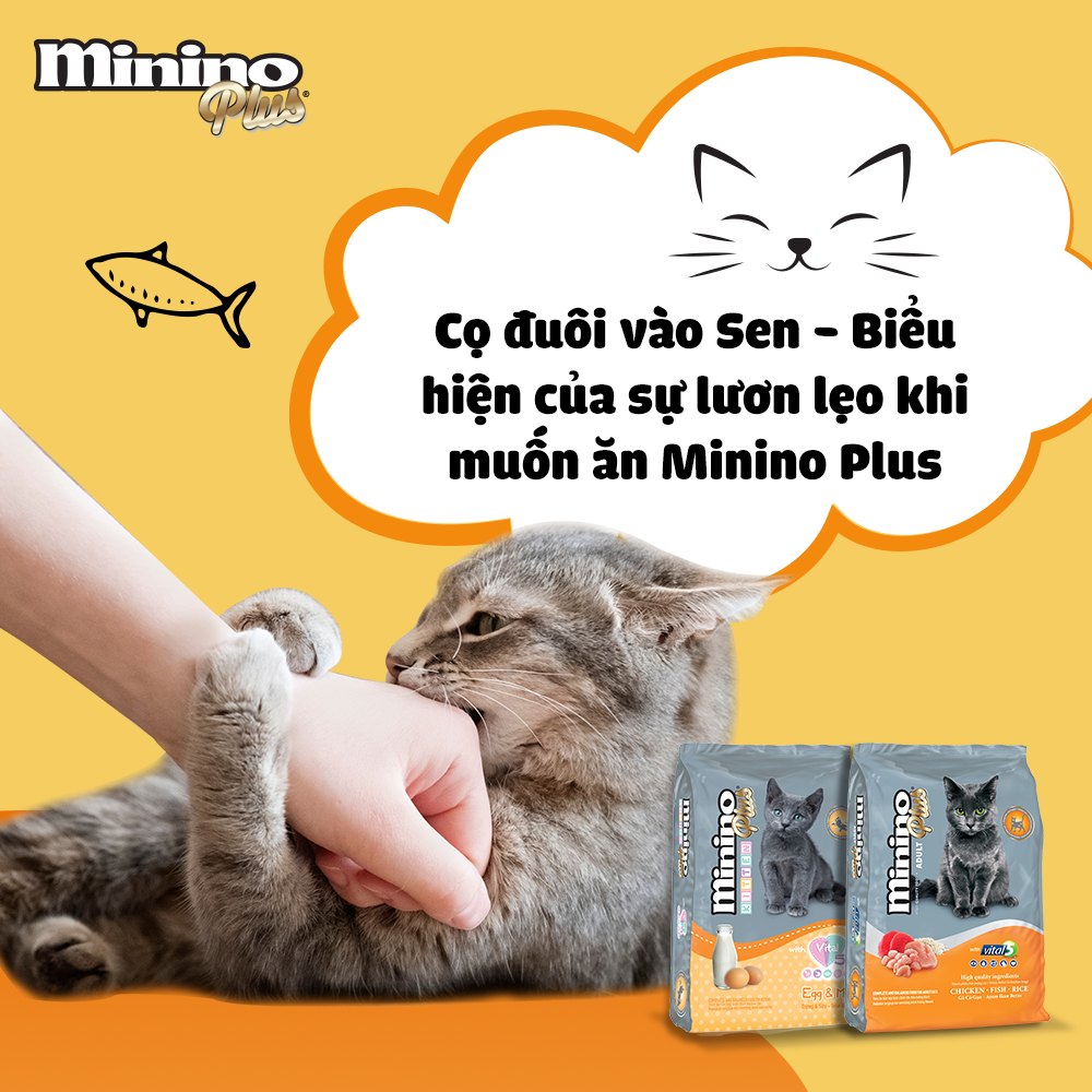 Hạt Cho Mèo Mọi Lứa Tuổi Minino Plus