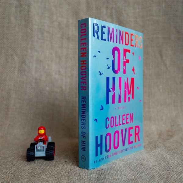 Reminders of Him - Colleen Hoover - Moonbird