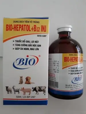 Thuoc tiêm kích thích thèm ăn mát gan khỏe mạnh cho chó mèo - Bio Hepatol 100ml