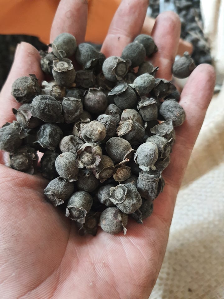 sim chín khô 1kg