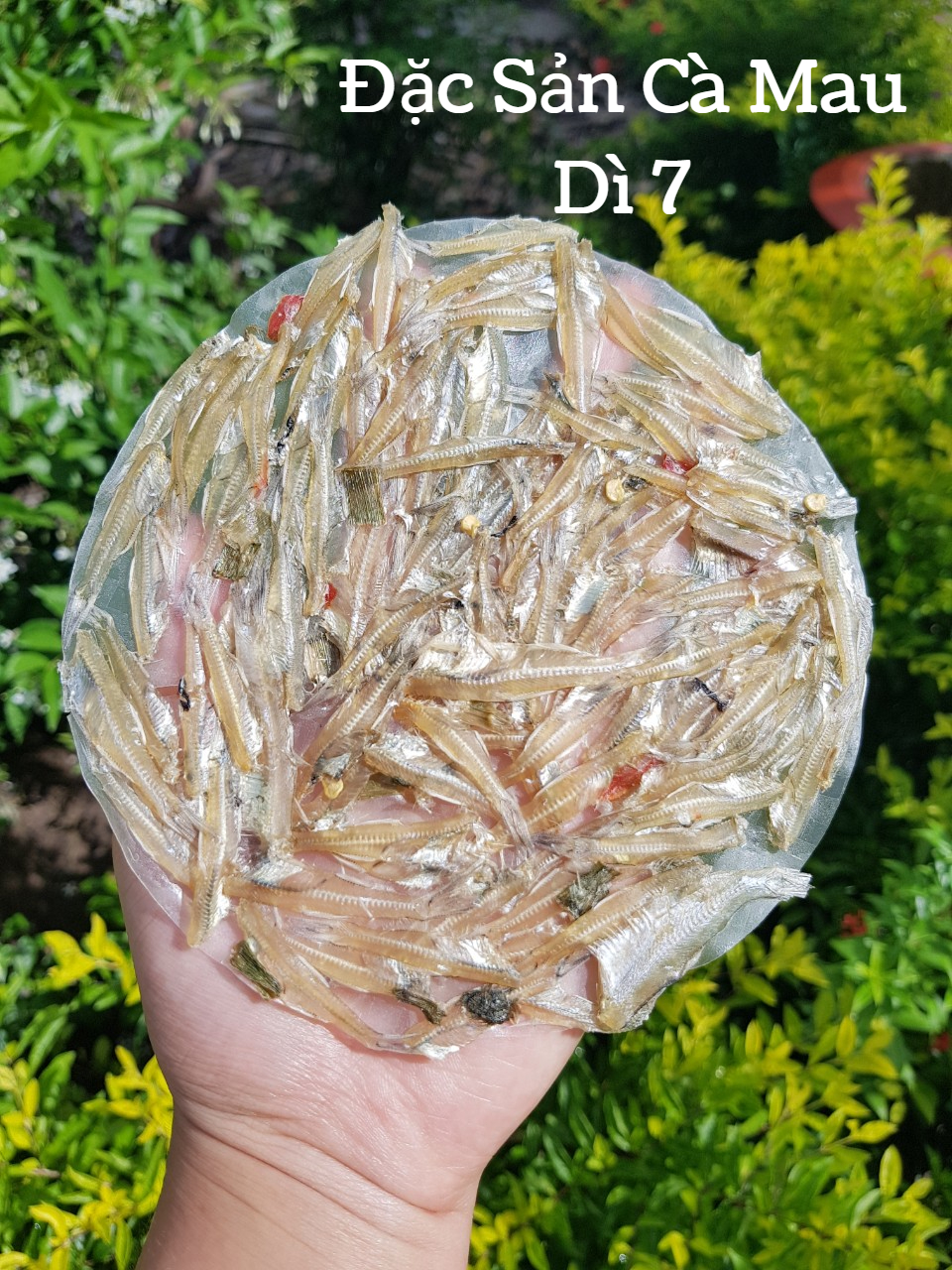 [SP dùng thử] 100GRAM Bánh tráng cá cơm Cà Mau loại đặc biệt