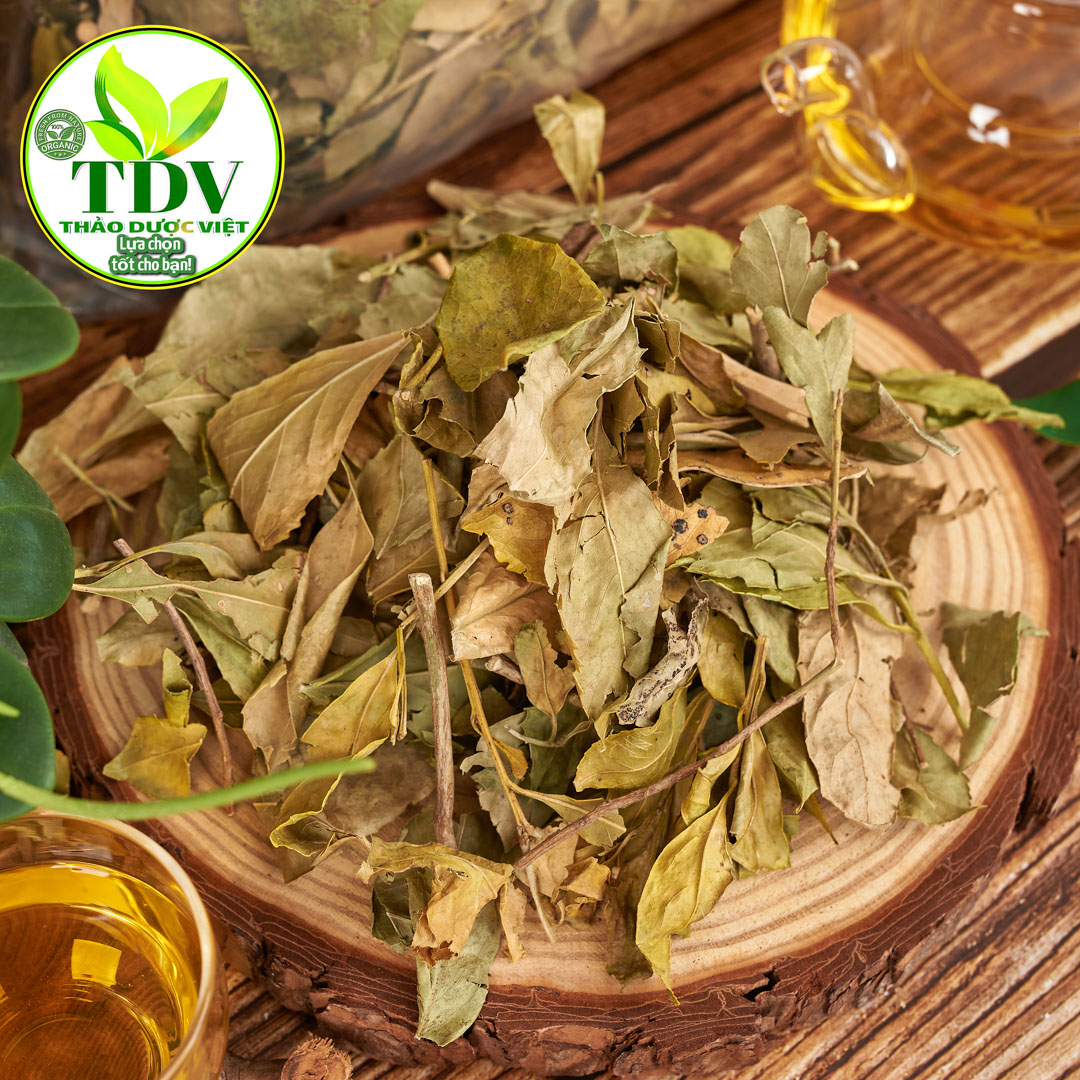 1kg Chè Dung Nghệ An tốt cho dạ dày