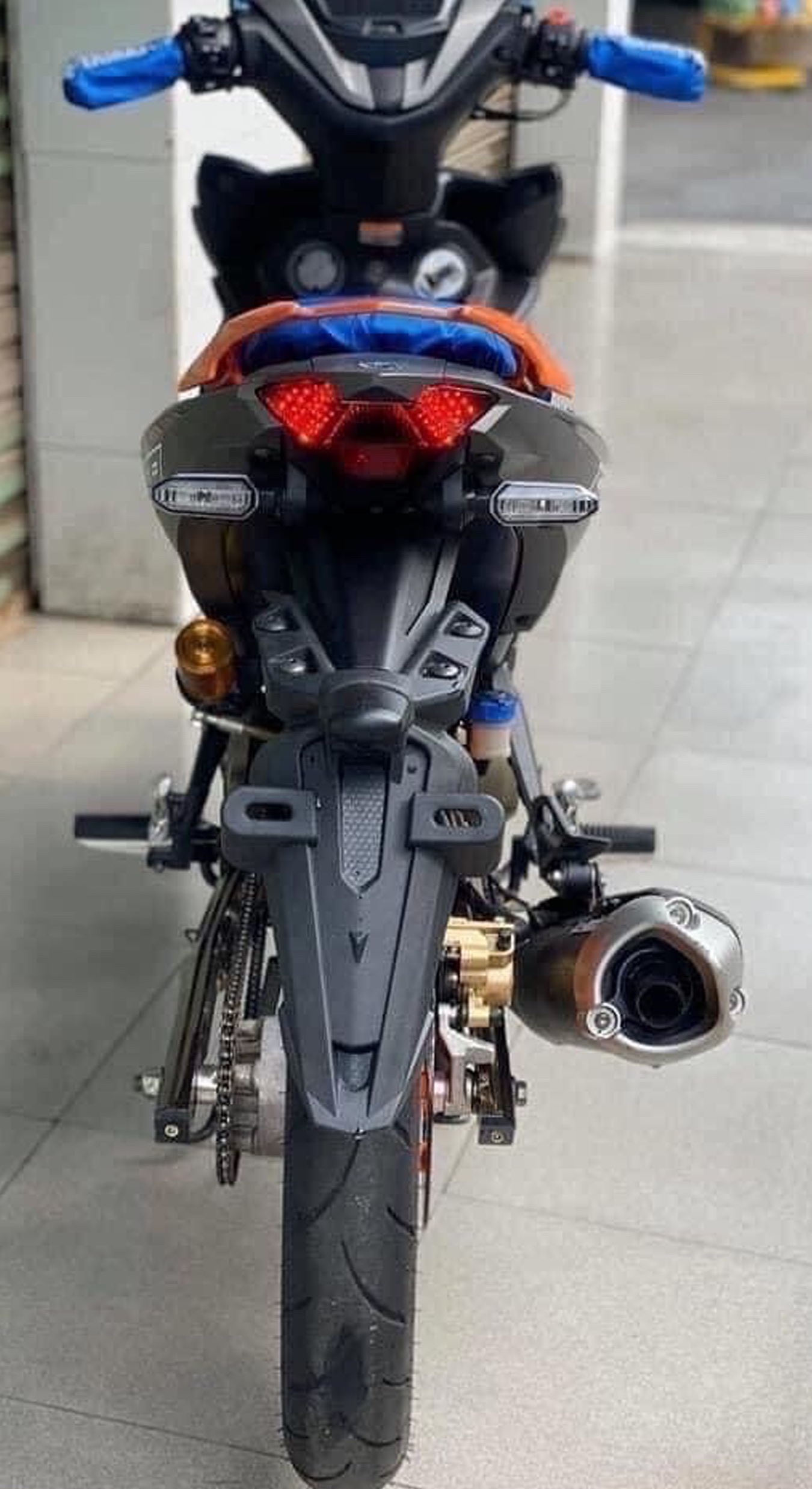 Dè sau Malay Exciter đuôi kiểu nhỏ