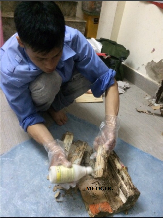 Thuốc diệt mối tận gốc dạng bột PMC 90 - 100gr MEOGOG