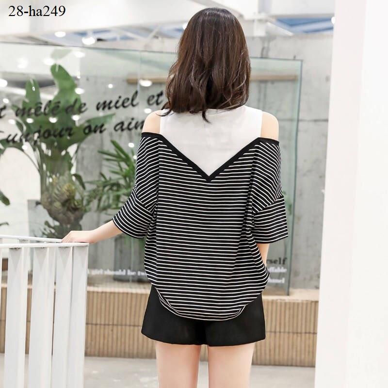 ha249- Áo thiết kế phối màu cao cấp