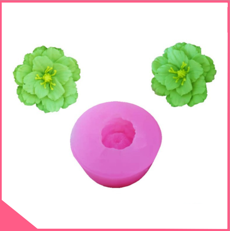 Khuôn silicon 4d làm rau câu hoa mai