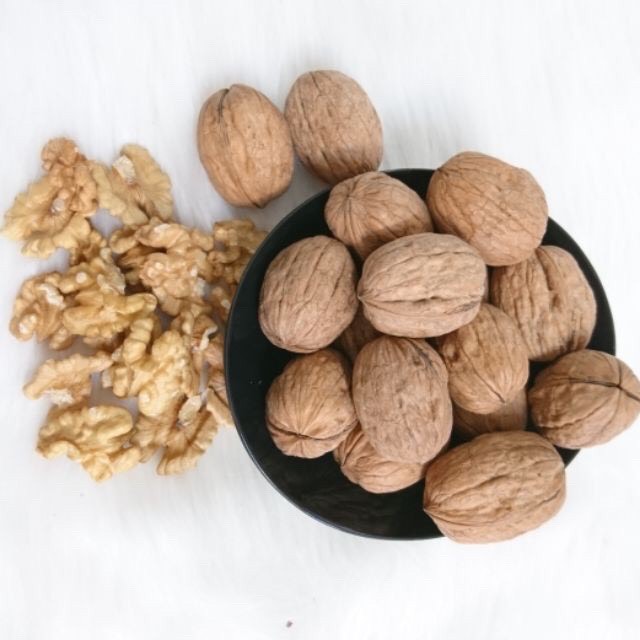 (1KG) ÓC CHÓ VÀNG ĐẶC SẢN SAPA NGUYÊN VỎ