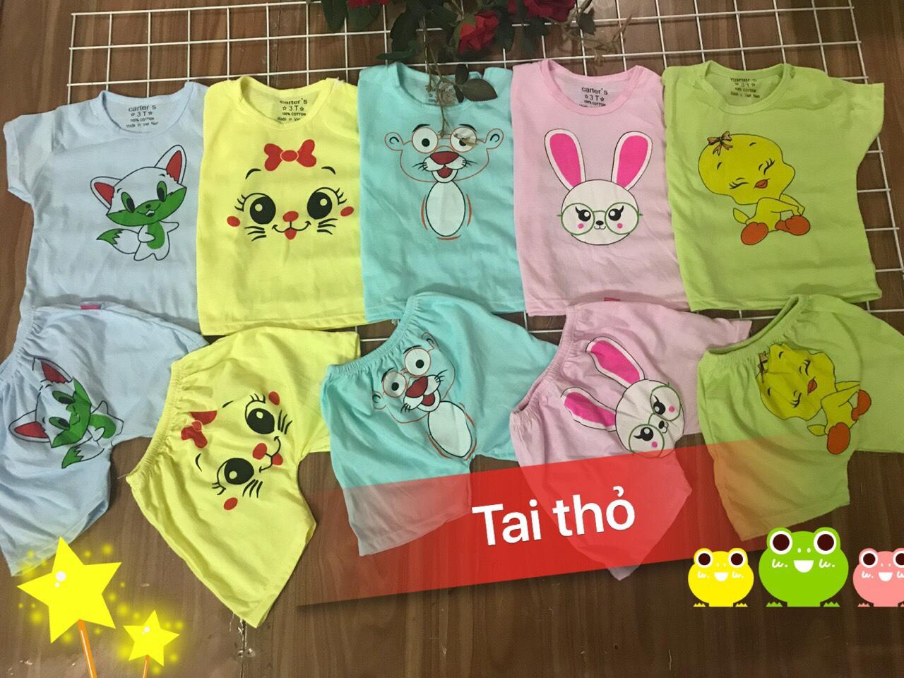 Sét 5 bộ cộc tay tai thỏ cho bé GÁI