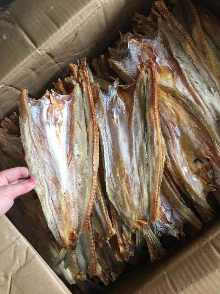 1kg Cá mối khô ngon như hình