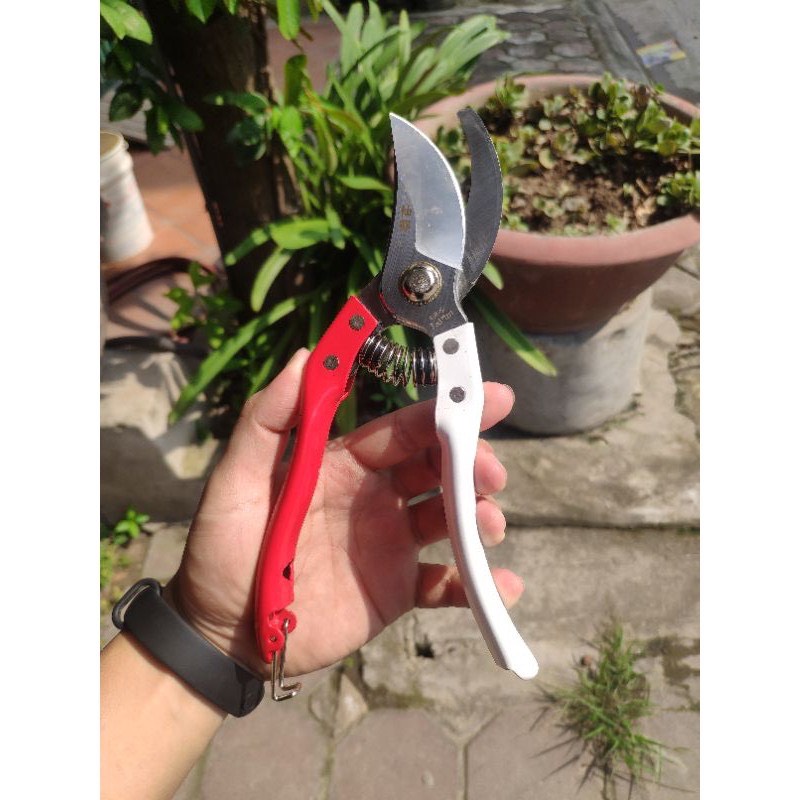 Kéo cắt tỉa cành V7 Nhật bản