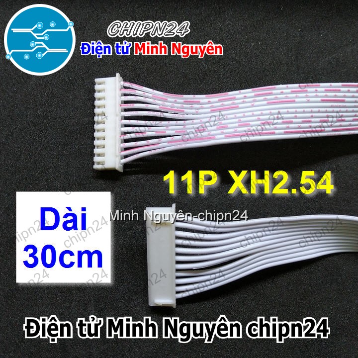 [1 sợi] (P31) Dây bẹ trắng 11P XH2.54mm 2 đầu cắm dài 30cm - HH003842