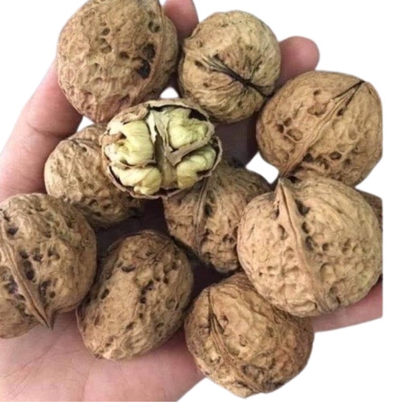 Quả Óc Chó Sấy Khô