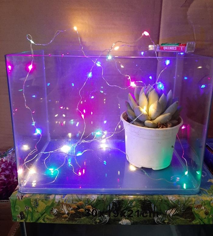 Đèn led dây trang trí 4 màu không nháy 3m với 30 bóng - không có sẵn pin. Chuỗi đèn đem đến cho bạn hiệu ứng ánh sáng lãng mạn
