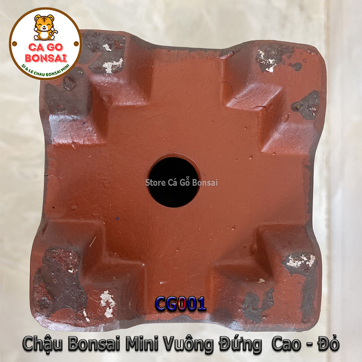 Chậu Bonsai Mini Vuông Đứng Cao Đỏ - CG001