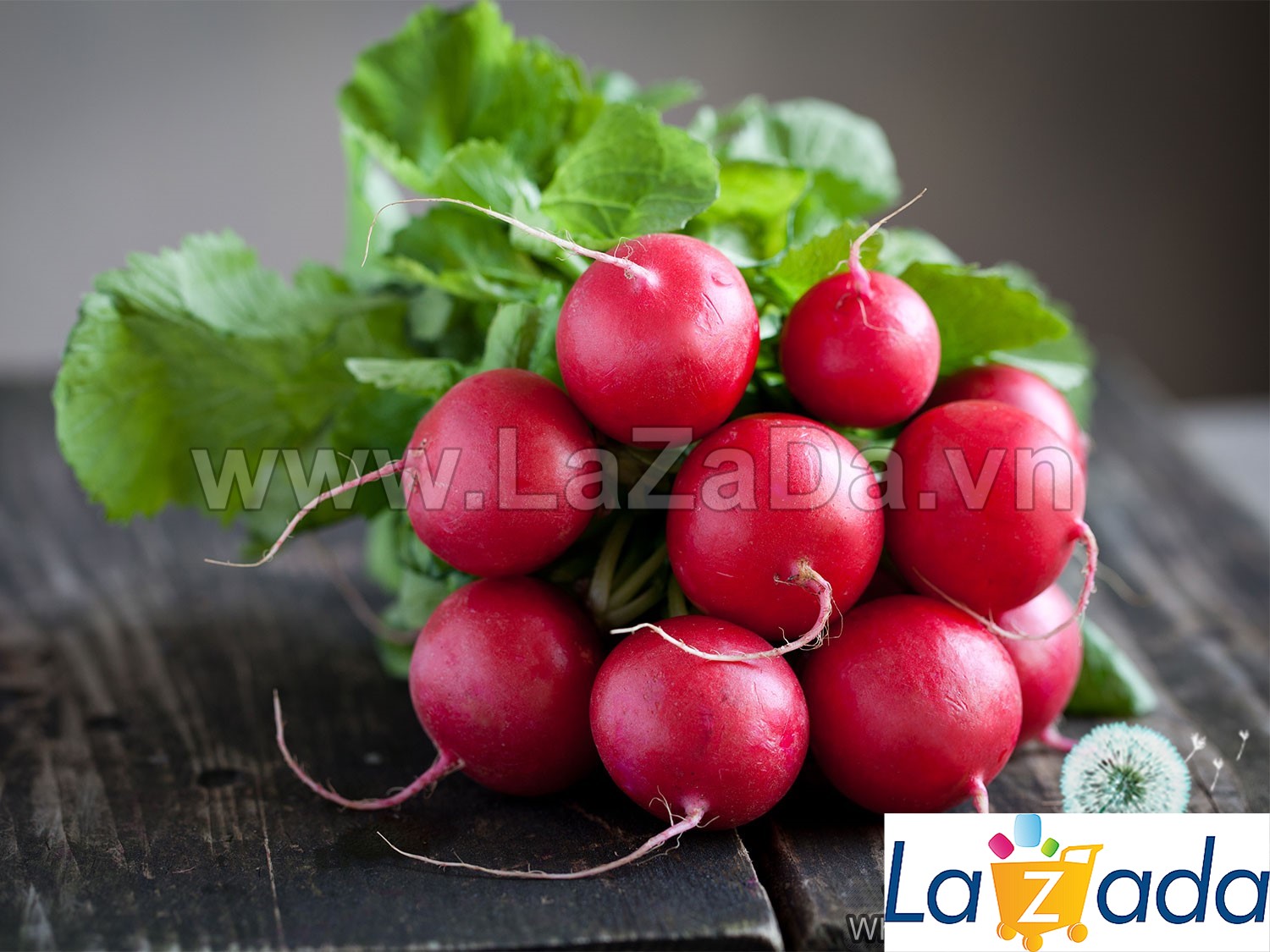 1Gr Hạt Giống Củ Cải Đỏ Cherry (A1.205| G10*W64*M211)