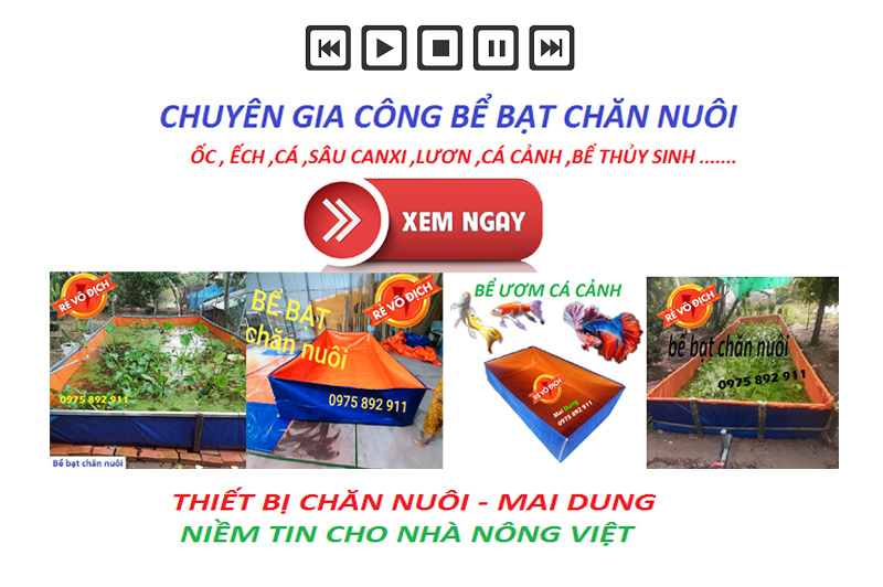 BỂ BẠT NUÔI ỐC ẾCH LƯƠN, CÁ TRẠCH - LOẠI 3x1x0,5