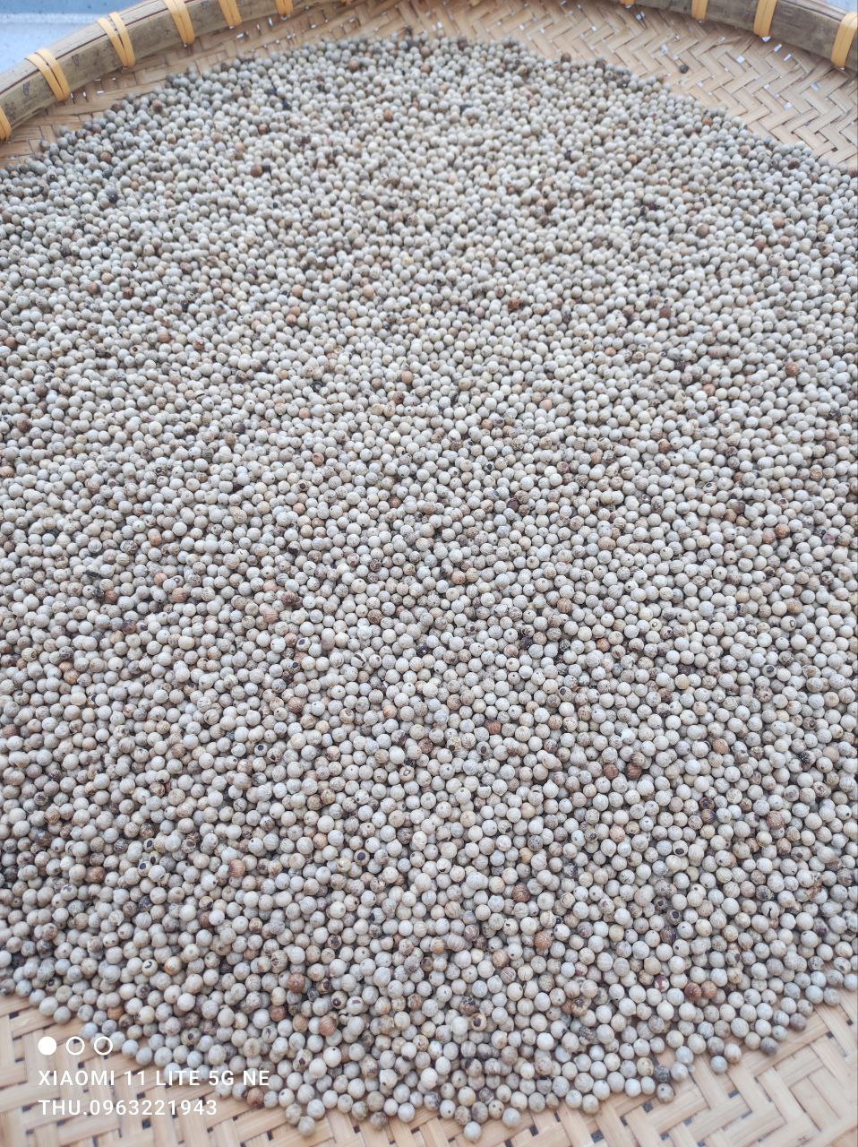 1kg hạt tiêu trắng (tiêu sọ) nhà làm thủ công