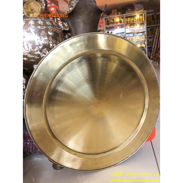 57cm heterophylla brass holder plain brass bezel weight 2.5kg
