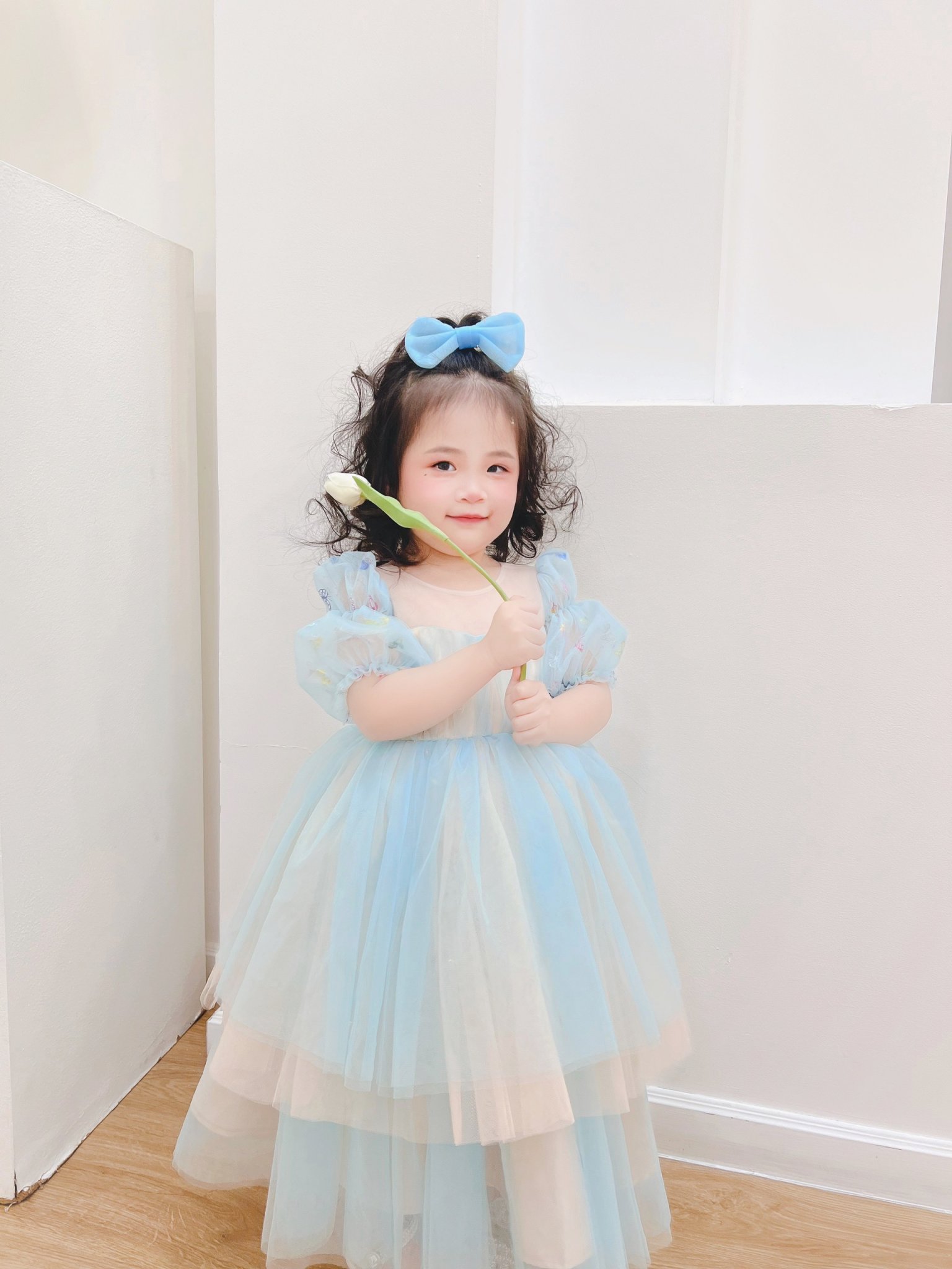 HOMI - Đầm công chúa Katina cho bé gái