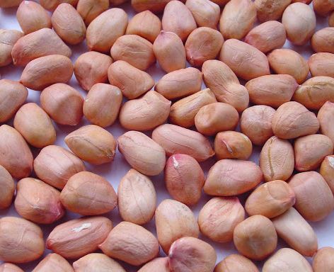 Đậu Phộng - lạc phơi khô 1kg