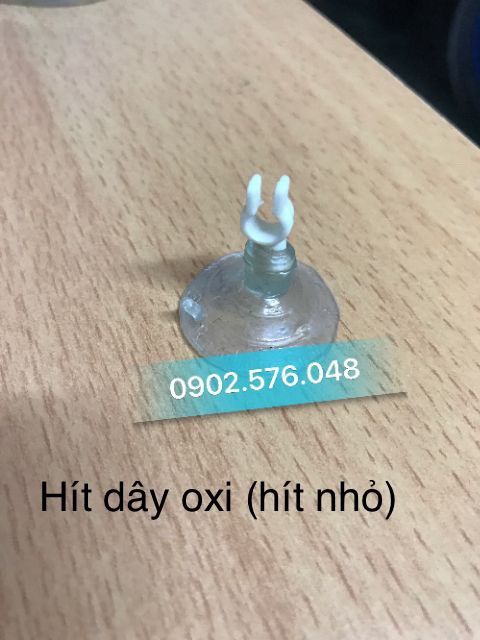 Hít giữ dây sủi oxi bể cá