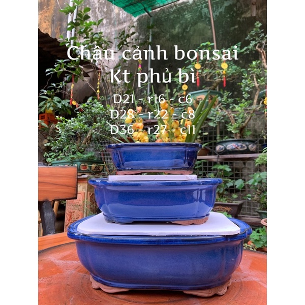 Chậu trồng cây bonsai chậu trồng cây để bàn chậu trồng cây sen đá chậu cảnh bonsai