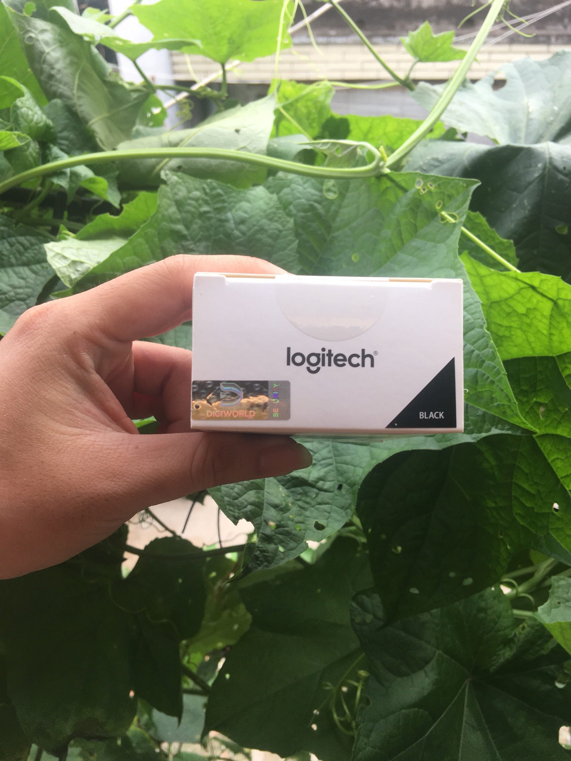 [HCM]Chuột không dây Logitech B175 hàng chính hãng.
