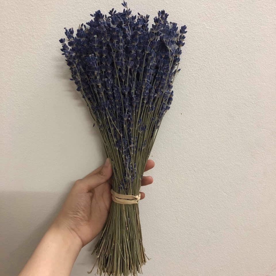 Bó hoa khô nguyên bản Lavender Pháp (Hoa oải hương)