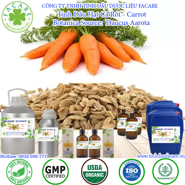 Tinh Dầu Hạt Cà Rốt Carrot seed essential oil - 10ml