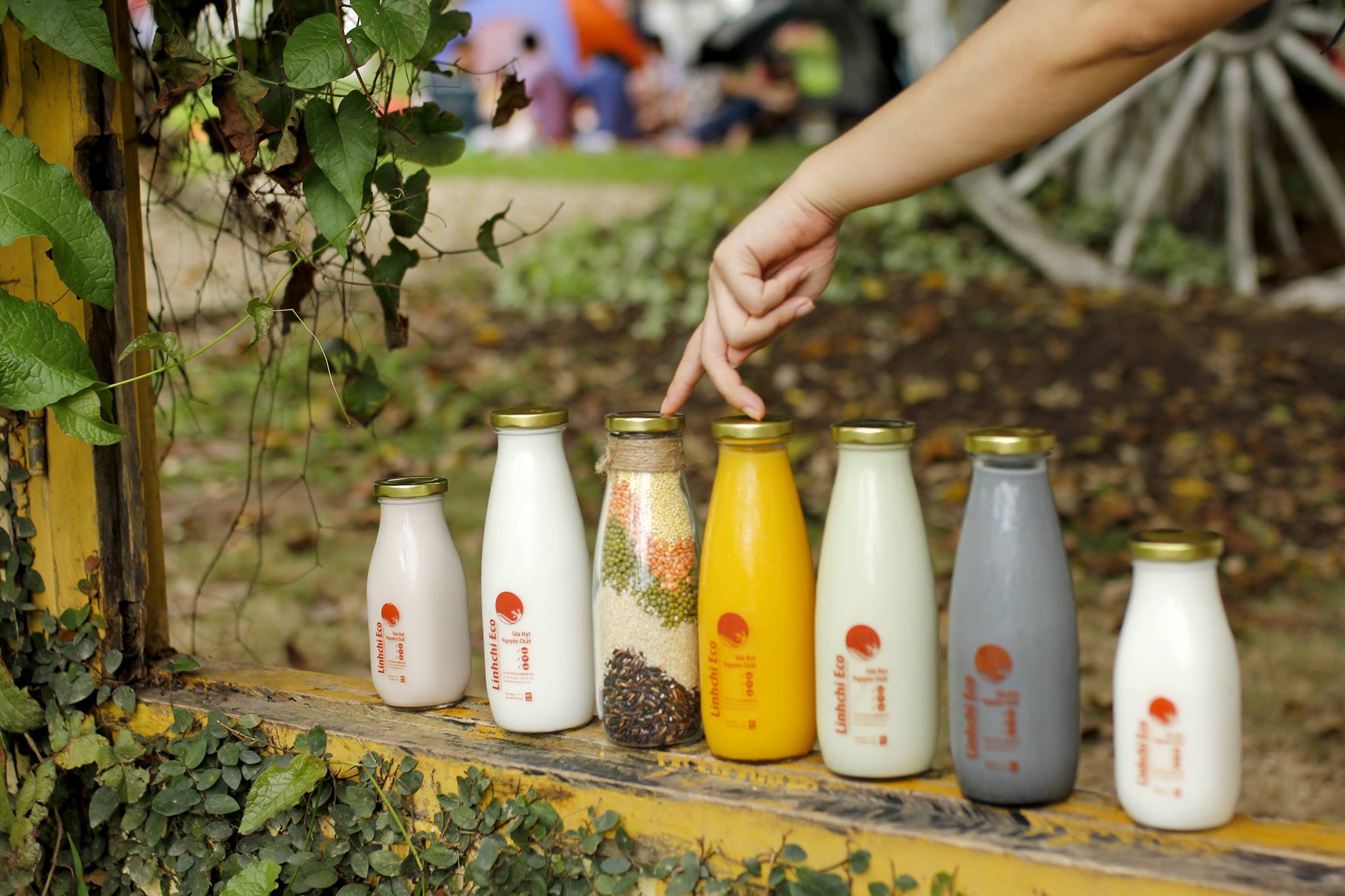Chai Thủy Tinh Nắp Thiếc Đựng Sữa Hạt 500ml