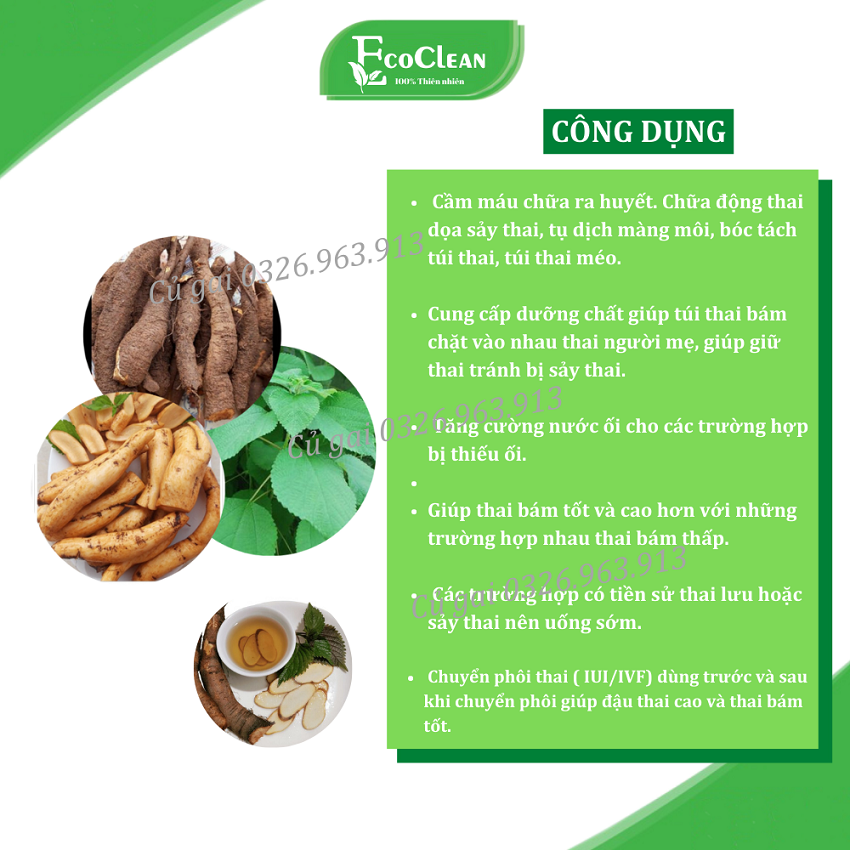 Củ gai tươi nguyên chất