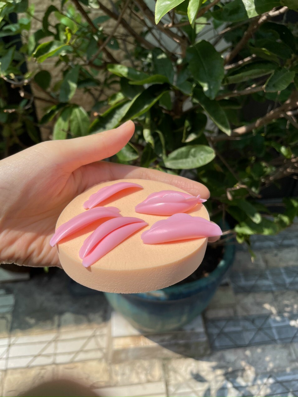 Bộ trục silicon uốn mi collagen 6D trắng, hồng