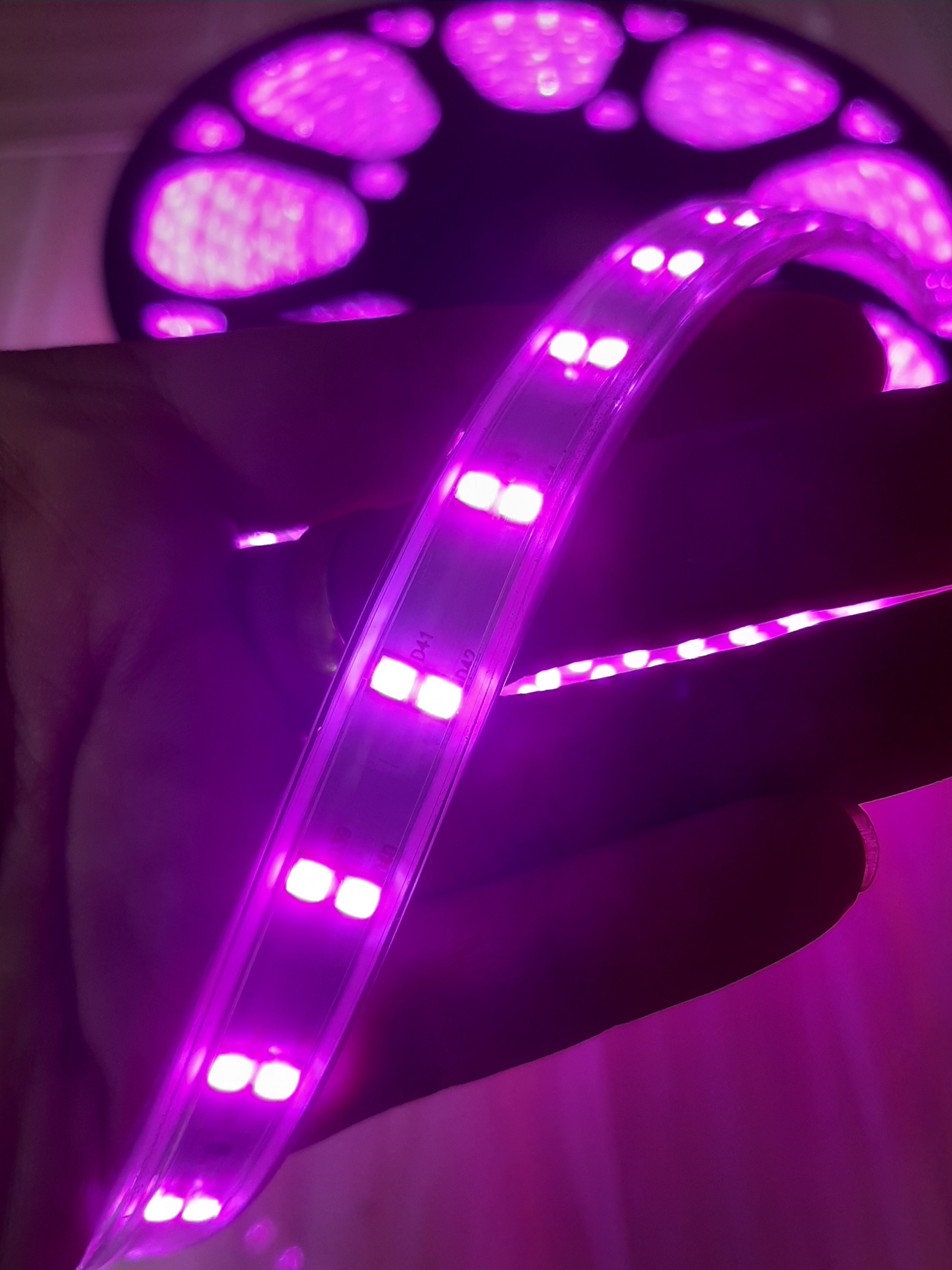 5 Met Đèn Led Dây Đôi Màu Hồng 2835 Trang Trí Hắt Trần, Quấn Cây (mua từ 20m tặng bộ nguồn).
