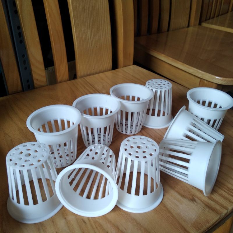 10 Chiếc Rọ Trồng Rau Thủy Canh Loại Tốt Cỡ 65Mmx65Mmx40Mm