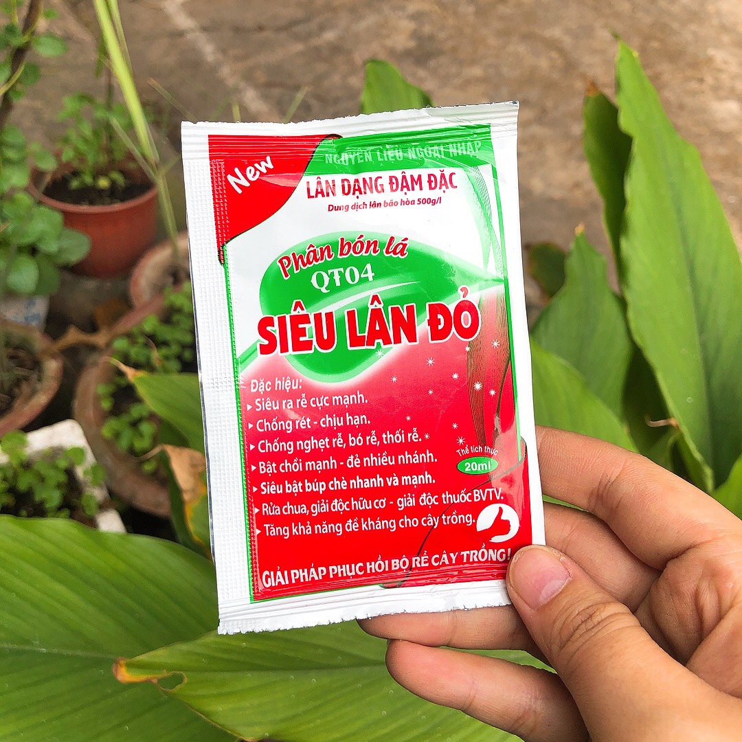 [HCM]PHÂN BÓN LÁ SIÊU LÂN ĐỎ ĐẬM ĐẶC QT04 DẠNG GÓI DÙNG THỬ 20ML
