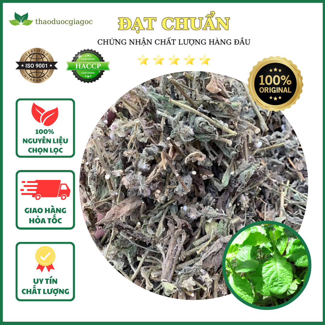 500gr Cây Cải Trời khô hàng chuẩn xịn