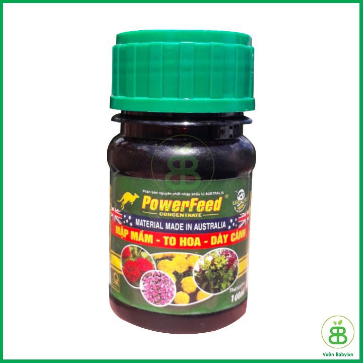 Powerfeed Mập Mầm, To Hoa, Hày Cánh 100ml