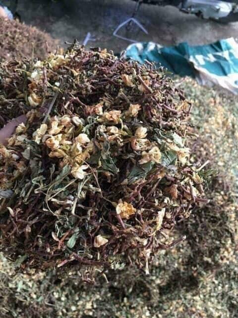 Trà sơn mật hồng sâm 1kg