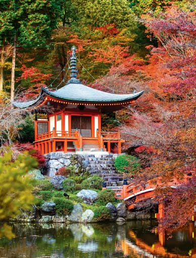 Tranh xếp hình 475 mảnh - ĐỀN DAIGOJI Japan