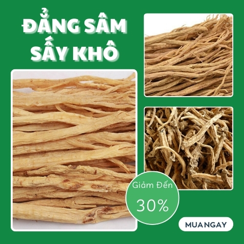 [New Arrivals] Dang Ginseng Dried in Bags 100g - Tan Phat - New Arrivals