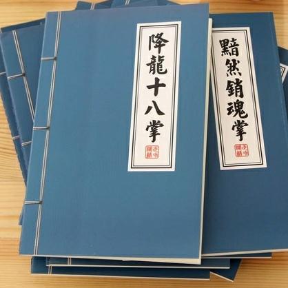 Sổ ghi bí kiếp võ công