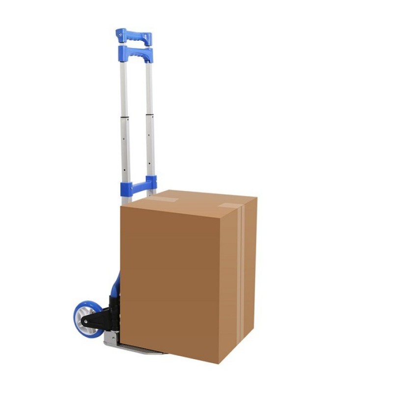 Xe kéo hàng khung carbon Homestar 80kg