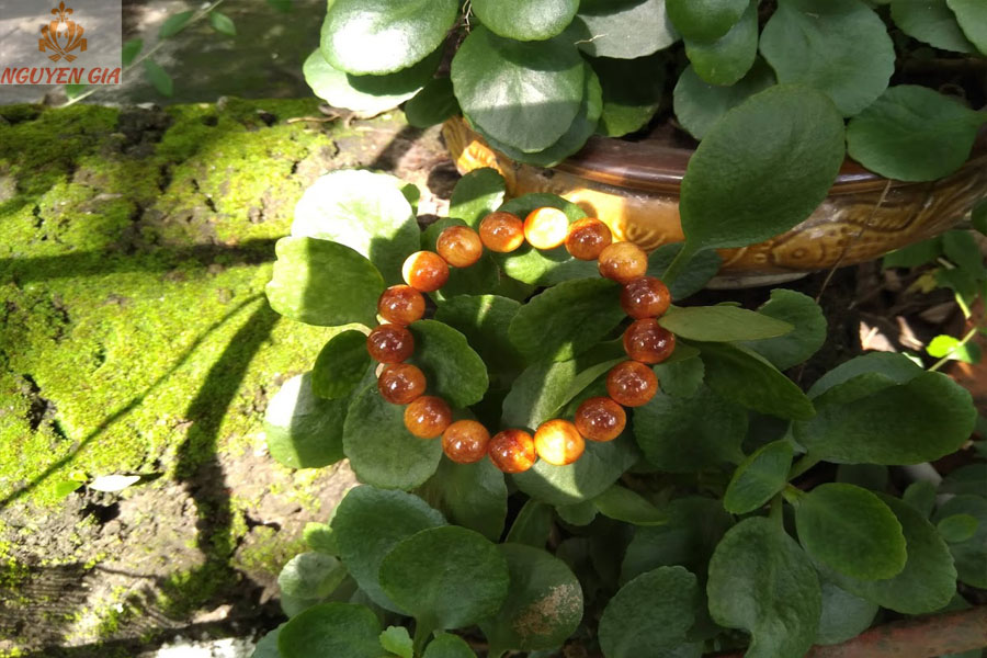 Vòng gỗ huyết rồng (huyết long) 12mm