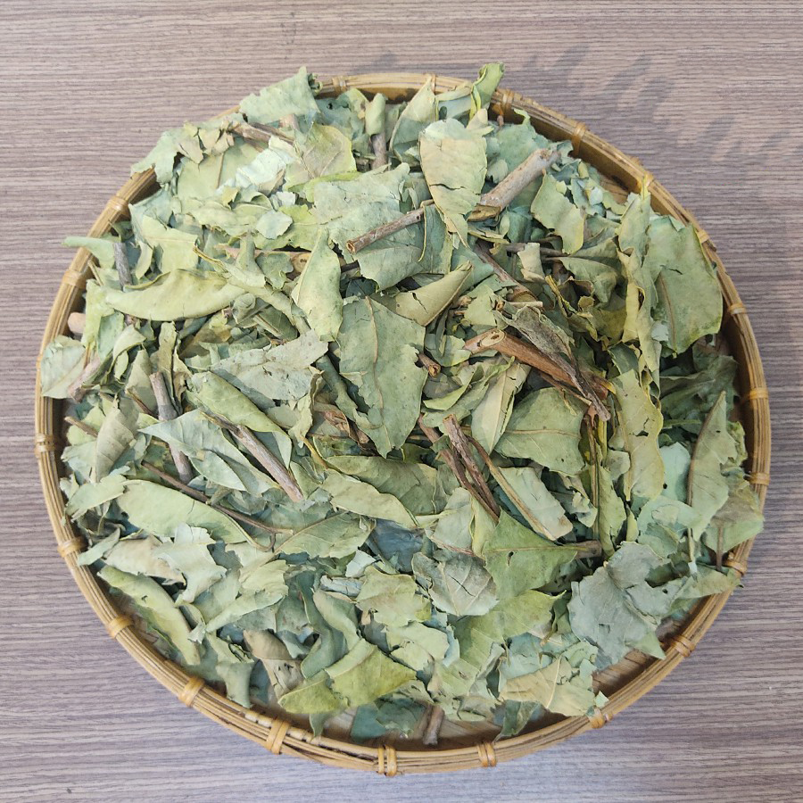 lá vối nếp sấy khô 1kg