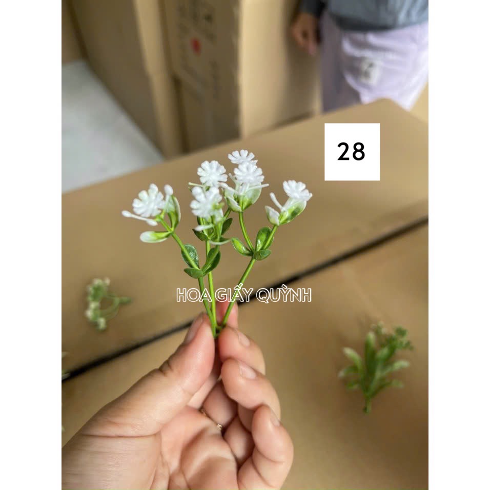 100gr hoa cỏ điểm trang trí - phần 1