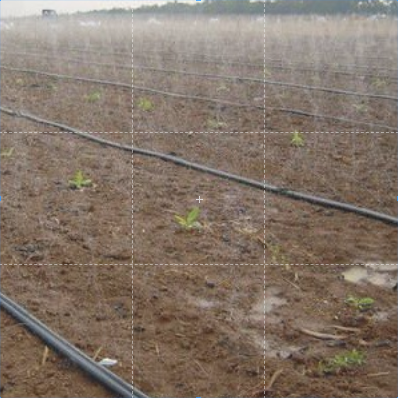 Ống Dây Tưới Phun Mưa Tưới Cây Phi 27mm