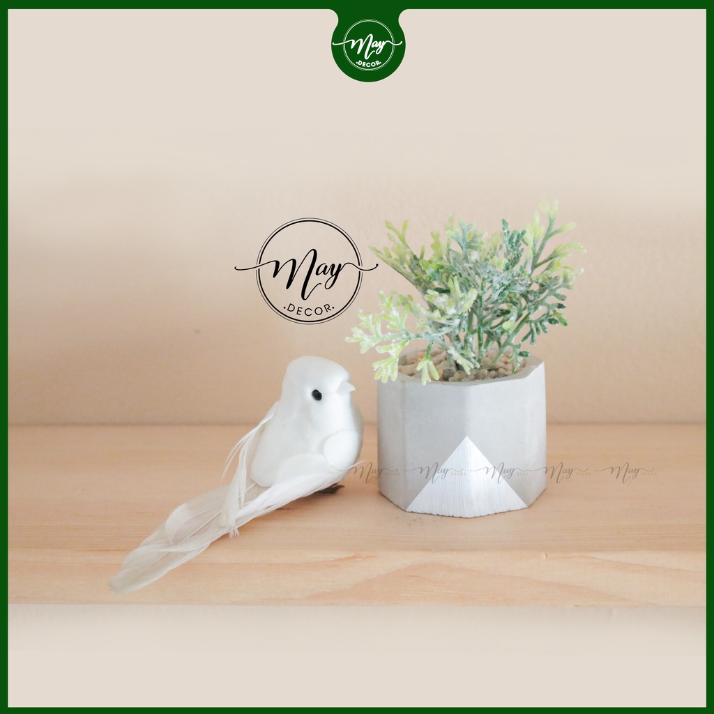 Cây mini chậu Xi măng 45cm